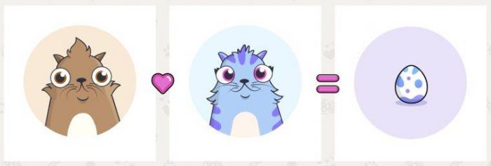 CryptoKitties photo 4
